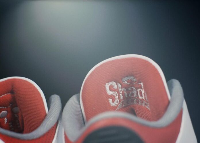 Air Jordan 3 Fire Red Slim Shady