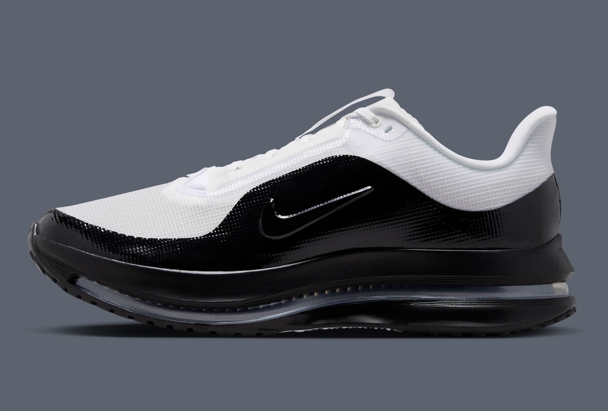 Nike Pegasus Premium SP Adds Mudguard Details And Split Color Blocking