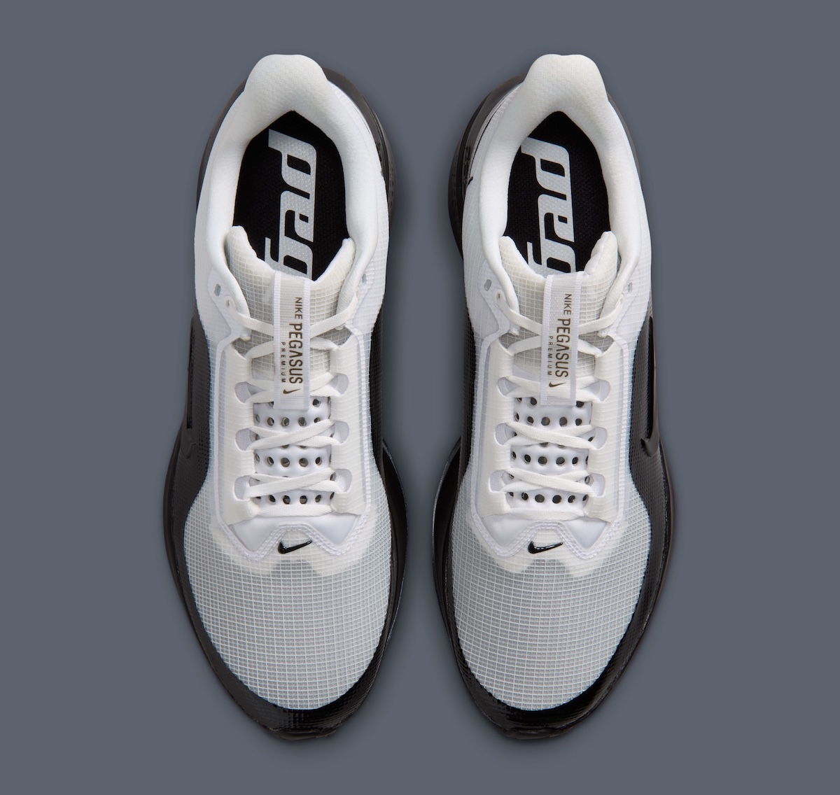 Nike Pegasus Premium SP Adds Mudguard Details And Split Color Blocking