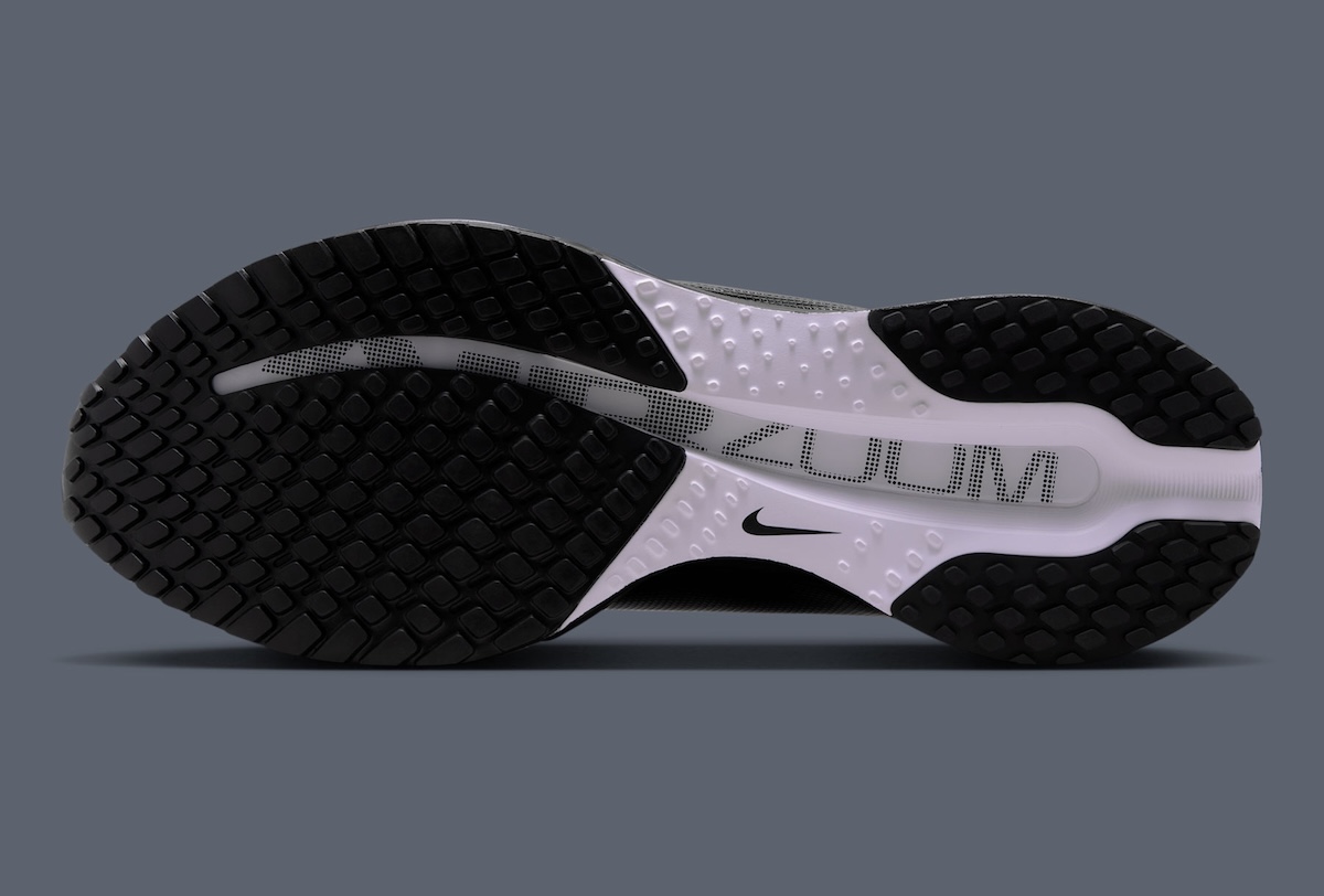 Nike Pegasus Premium SP Adds Mudguard Details And Split Color Blocking