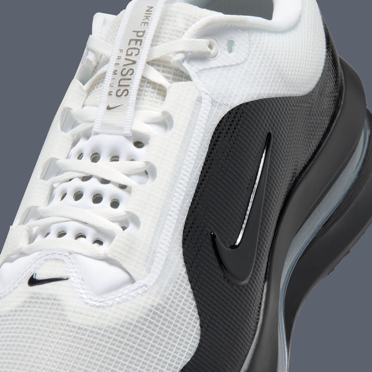 Nike Pegasus Premium SP Adds Mudguard Details And Split Color Blocking