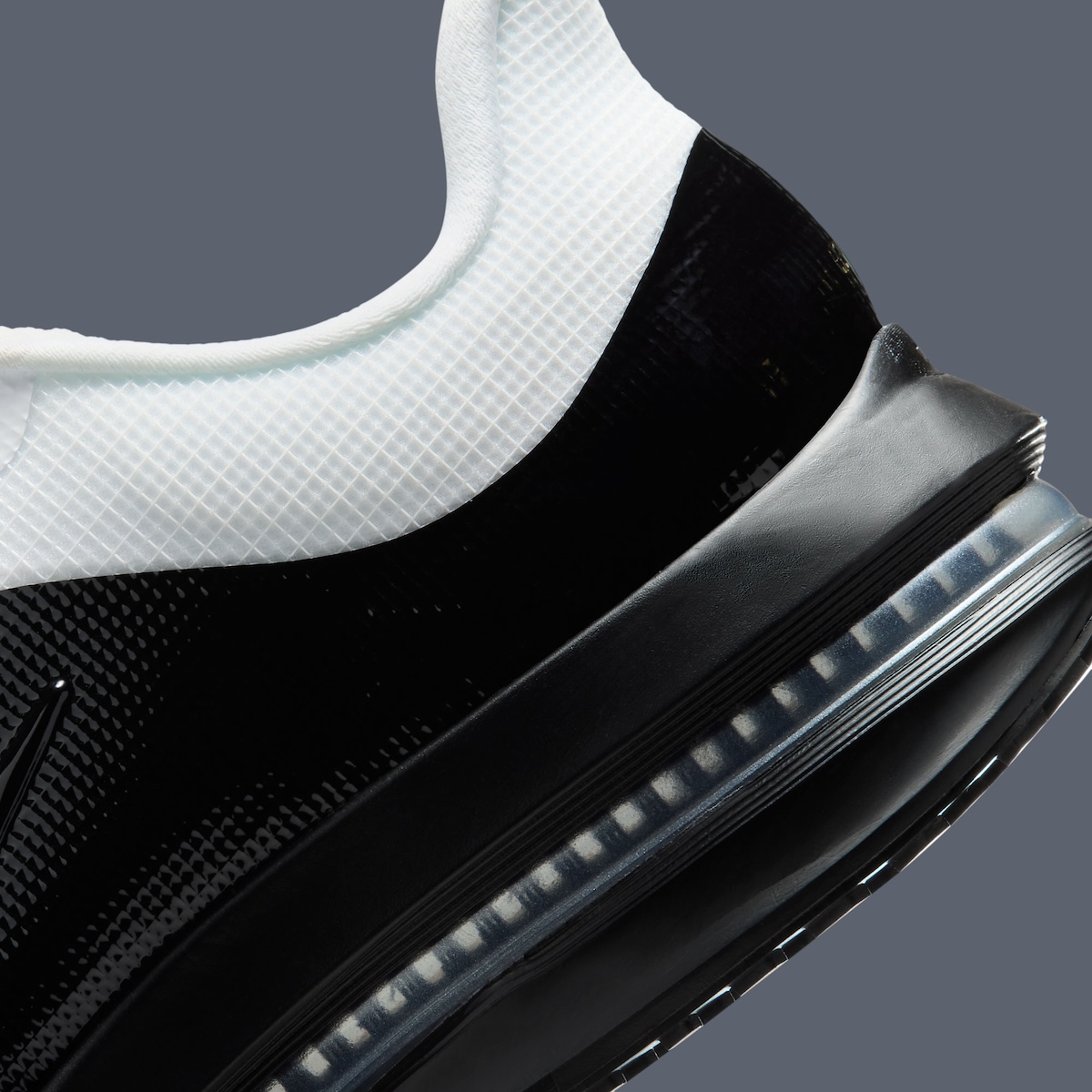 Nike Pegasus Premium SP Adds Mudguard Details And Split Color Blocking